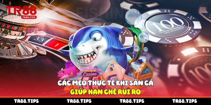 Các mẹo thực tế khi săn cá, giúp hạn chế rủi ro