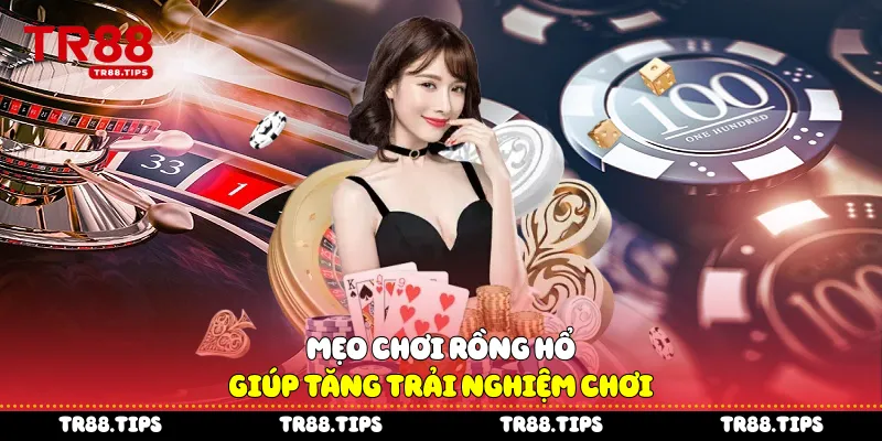 Mẹo chơi Rồng Hổ giúp tăng trải nghiệm chơi